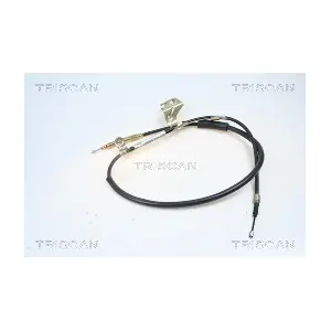 814029174 TRISCAN