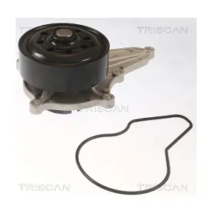 860040021 TRISCAN