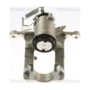 TRISCAN 8175 24243