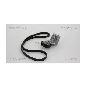 TRISCAN 8642 24003