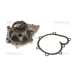 860027113 TRISCAN