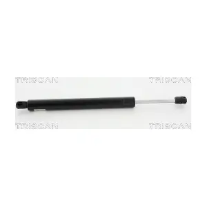 8710 65210 TRISCAN