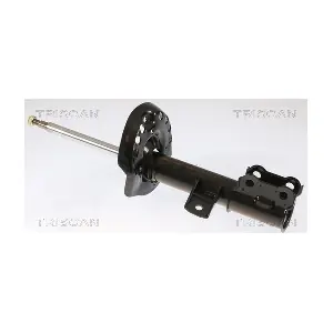 870543106 TRISCAN