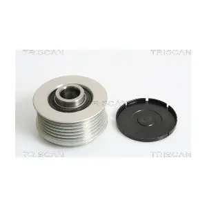 TRISCAN 8641104013