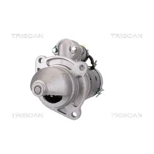 TRISCAN 8305 29041