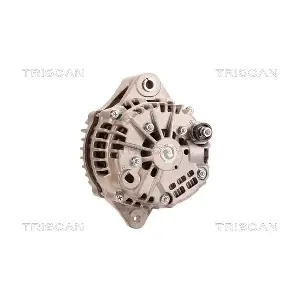 TRISCAN 8310 43020