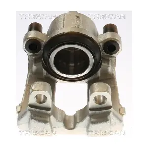8175 11131 TRISCAN