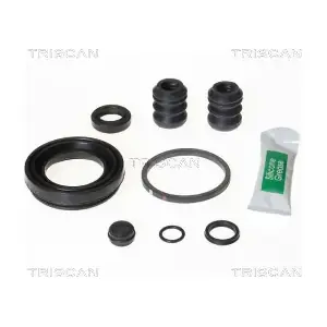 8170 204310 TRISCAN