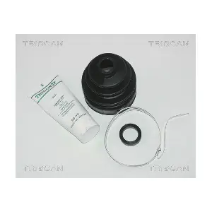 8540 28807 TRISCAN