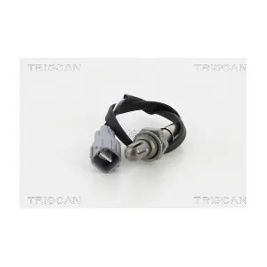 884513513 TRISCAN