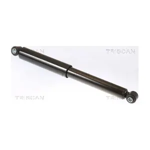 8705 23207 TRISCAN