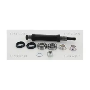 8500 38402 TRISCAN