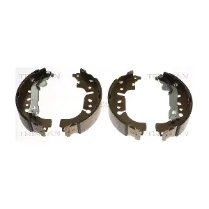 810015029 TRISCAN