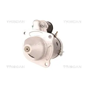 8305 43013 TRISCAN
