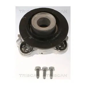 850015919 TRISCAN