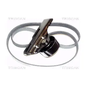 8642 25003 TRISCAN