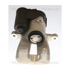 TRISCAN 8175 29223