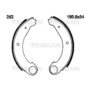 TRISCAN 8100 38262