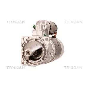 8305 10091 TRISCAN