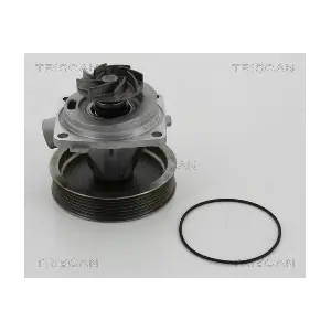 TRISCAN 860010080