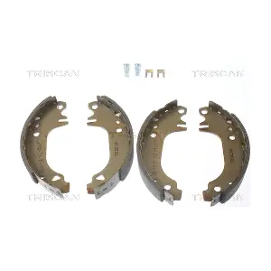 TRISCAN 810010407
