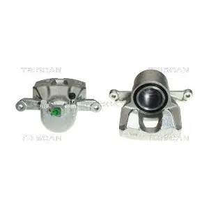 BC3119 TRISCAN