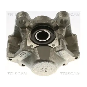 TRISCAN 8175 24252