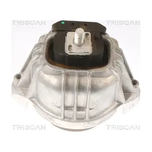 TRISCAN 850511106