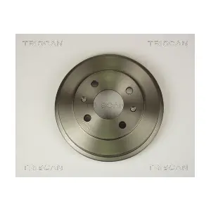 TRISCAN 812015202