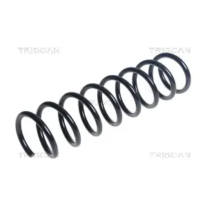 6153309 TRISCAN