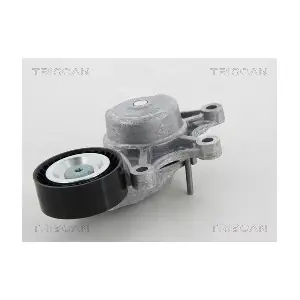 8641 111020 TRISCAN