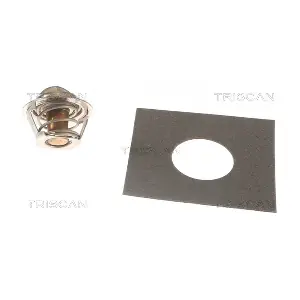 061382 TRISCAN
