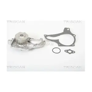 860013990 TRISCAN