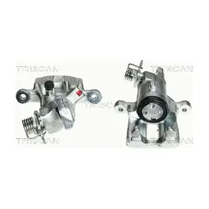 F56123 TRISCAN