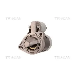 8305 50009 TRISCAN