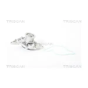 TRISCAN 860029015