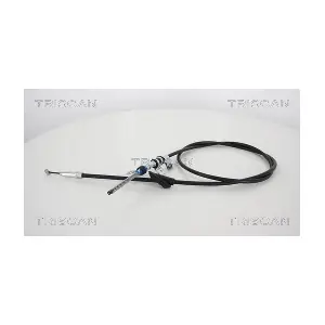 13161 TRISCAN