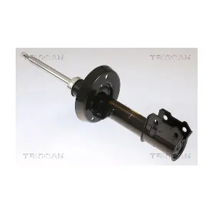 8705 24109 TRISCAN