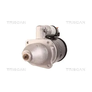 8305 10130 TRISCAN
