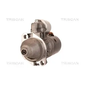 8305 29056 TRISCAN