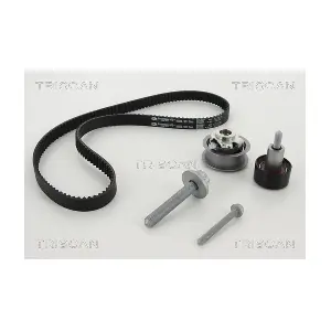 TRISCAN 8647 29101