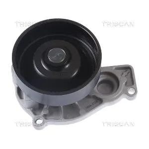 860011049 TRISCAN