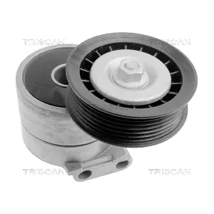 TRISCAN 8641 243006