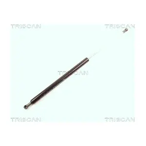 8710 21202 TRISCAN