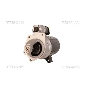 TRISCAN 8305 29059
