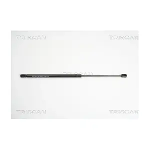 8710 11225 TRISCAN