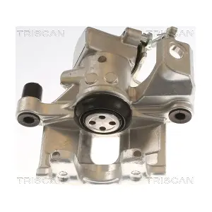 8175 13208 TRISCAN