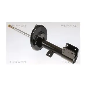 8705 28119 TRISCAN