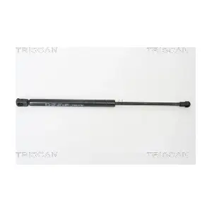 8710 11224 TRISCAN