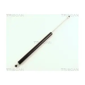 8710 38102 TRISCAN
